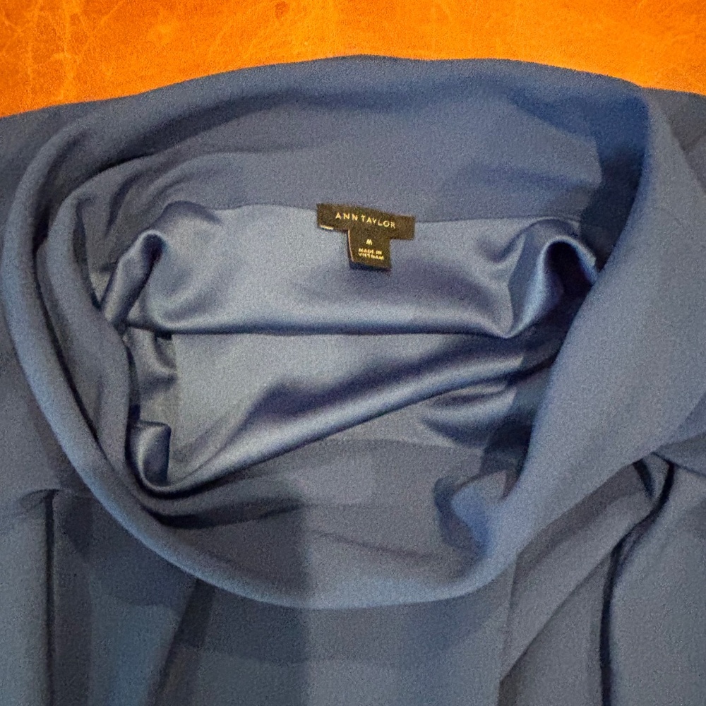 Ann Taylor Dressy long sleeve top